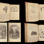 1871 Natural History ANIMALS Darwin Huxley Illustrated 2v SET Goodrich & Johnson