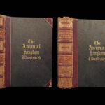 1871 Natural History ANIMALS Darwin Huxley Illustrated 2v SET Goodrich & Johnson