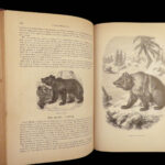 1871 Natural History ANIMALS Darwin Huxley Illustrated 2v SET Goodrich & Johnson