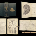 1875 FOSSILS Mollusca Sea Shells Zoology Manual Marine Squid Mollusk Illustrated