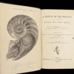 1875 FOSSILS Mollusca Sea Shells Zoology Manual Marine Squid Mollusk Illustrated