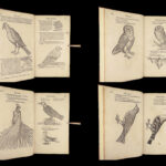 1555 FAMED Gessner BIRDS 200+ Woodcuts DUCK Quail Ornithology Zoology RARE Avium