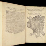 1555 FAMED Gessner BIRDS 200+ Woodcuts DUCK Quail Ornithology Zoology RARE Avium