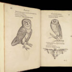 1555 FAMED Gessner BIRDS 200+ Woodcuts DUCK Quail Ornithology Zoology RARE Avium