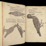 1555 FAMED Gessner BIRDS 200+ Woodcuts DUCK Quail Ornithology Zoology RARE Avium