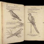 1555 FAMED Gessner BIRDS 200+ Woodcuts DUCK Quail Ornithology Zoology RARE Avium