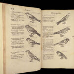 1555 FAMED Gessner BIRDS 200+ Woodcuts DUCK Quail Ornithology Zoology RARE Avium