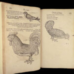 1555 FAMED Gessner BIRDS 200+ Woodcuts DUCK Quail Ornithology Zoology RARE Avium