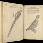 1555 FAMED Gessner BIRDS 200+ Woodcuts DUCK Quail Ornithology Zoology RARE Avium