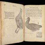 1555 FAMED Gessner BIRDS 200+ Woodcuts DUCK Quail Ornithology Zoology RARE Avium