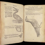 1555 FAMED Gessner BIRDS 200+ Woodcuts DUCK Quail Ornithology Zoology RARE Avium