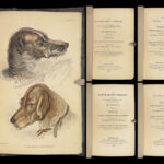 1839 DOGS & Wolves 1ed Huskies Hyenas FOX Jardine Naturalist Illustrated Canines