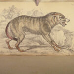 1839 DOGS & Wolves 1ed Huskies Hyenas FOX Jardine Naturalist Illustrated Canines