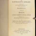 1839 DOGS & Wolves 1ed Huskies Hyenas FOX Jardine Naturalist Illustrated Canines