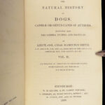 1839 DOGS & Wolves 1ed Huskies Hyenas FOX Jardine Naturalist Illustrated Canines