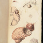 1829 Anatomy & Pathology ATLAS 86 Color Illustrated Disease Cruveilhier Medicine