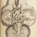 1673 Human Anatomy Medicine Surgery Illustrated William Harvey Blood Bartholin