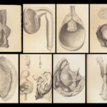 1837 John Hunter Anatomy Atlas Surgery Medicine Illustrated Biology Veterinary