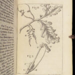 1731 Planting Gardening Bradley BOTANY Kaleidoscope Illustrated GARDENS Orchard