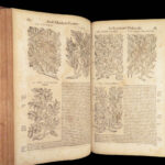 1674 Mattioli HERBAL Botany Medicine Pharmacy Dioscorides Kreuterbuch Woodcuts