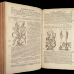 1674 Mattioli HERBAL Botany Medicine Pharmacy Dioscorides Kreuterbuch Woodcuts