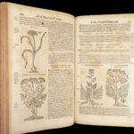 1674 Mattioli HERBAL Botany Medicine Pharmacy Dioscorides Kreuterbuch Woodcuts