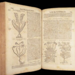 1674 Mattioli HERBAL Botany Medicine Pharmacy Dioscorides Kreuterbuch Woodcuts