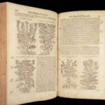 1674 Mattioli HERBAL Botany Medicine Pharmacy Dioscorides Kreuterbuch Woodcuts