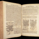 1674 Mattioli HERBAL Botany Medicine Pharmacy Dioscorides Kreuterbuch Woodcuts