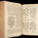 1674 Mattioli HERBAL Botany Medicine Pharmacy Dioscorides Kreuterbuch Woodcuts