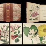 1859 Gardening BEAUTIFUL Color Illustrated Plant Botany Flowers Fruit ART Garden