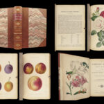 1859 Gardening BEAUTIFUL Color Illustrated Plant Botany Flowers Fruit ART Garden