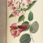 1859 Gardening BEAUTIFUL Color Illustrated Plant Botany Flowers Fruit ART Garden