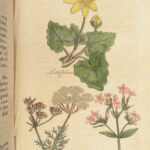 1820 HERBAL Medicine John Hill Plants Flowers Botany Distillation Homeopathy