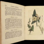 1820 HERBAL Medicine John Hill Plants Flowers Botany Distillation Homeopathy