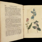 1820 HERBAL Medicine John Hill Plants Flowers Botany Distillation Homeopathy