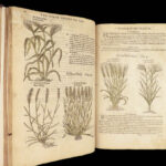 1597 English Herbal 1st John Gerarde Herball Plants Illustrated Stirpium Botany