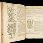 1597 English Herbal 1st John Gerarde Herball Plants Illustrated Stirpium Botany