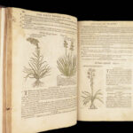 1597 English Herbal 1st John Gerarde Herball Plants Illustrated Stirpium Botany