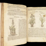 1597 English Herbal 1st John Gerarde Herball Plants Illustrated Stirpium Botany