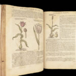 1597 English Herbal 1st John Gerarde Herball Plants Illustrated Stirpium Botany