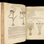 1597 English Herbal 1st John Gerarde Herball Plants Illustrated Stirpium Botany