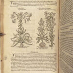 1597 English Herbal 1st John Gerarde Herball Plants Illustrated Stirpium Botany