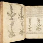 1597 English Herbal 1st John Gerarde Herball Plants Illustrated Stirpium Botany