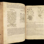 1597 English Herbal 1st John Gerarde Herball Plants Illustrated Stirpium Botany