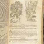 1597 English Herbal 1st John Gerarde Herball Plants Illustrated Stirpium Botany