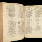 1597 English Herbal 1st John Gerarde Herball Plants Illustrated Stirpium Botany