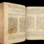 1597 English Herbal 1st John Gerarde Herball Plants Illustrated Stirpium Botany