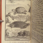 1788 REPTILES 1ed Snakes Lacepede Lizards Crocodiles Turtles Herpetology 4v Set