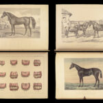 1874 EQUESTRIAN Farriery Miles Veterinary Medicine Cattle Cows ART Horses